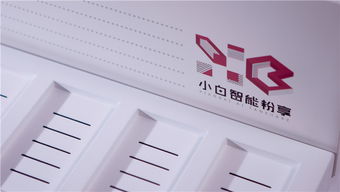 小白智能粉享系統V1專業供應商及200端口軟件云開發服務